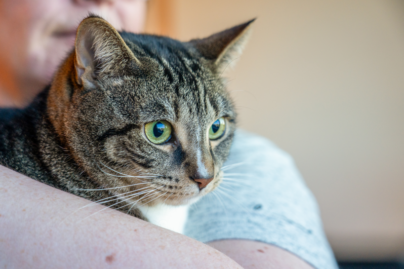 Stephanie and Turbo the Cat - Pets At Our Place 2025 Calendar competition entrants